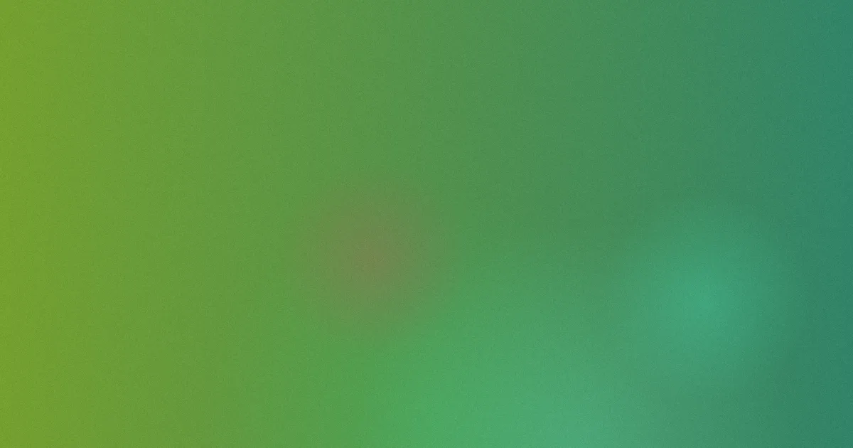 张彬彬攻略：怎么入坑不踩雷